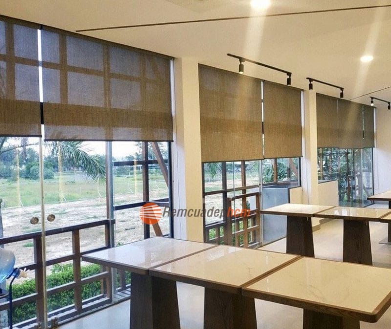 rem cuon luoi 02